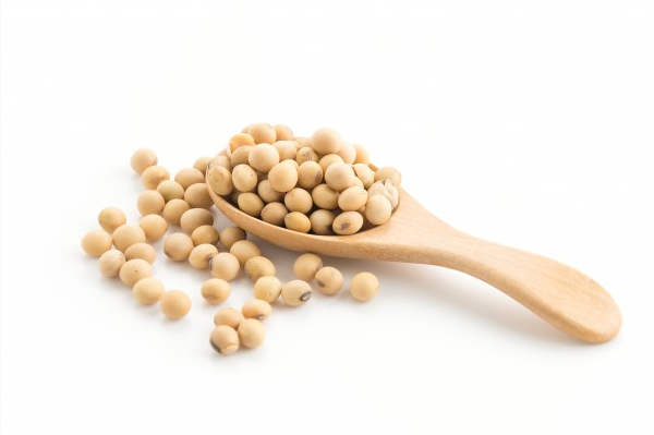 Soy in service of the skin
