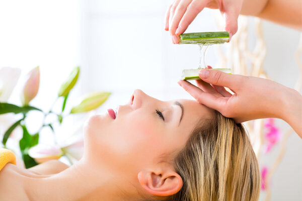 Aloe Vera: The Magic Plant for Skin Care